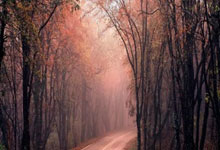 纬来体育:米体:沃克下赛季将留在米兰,菲利克斯留下的希望基本已破灭.