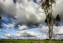 纬来体育:媒体人:输球主要问题不在林良铭,伊万战术太保守&张玉宁该替补.