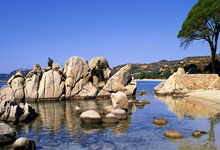 辽宁险胜上海!洛夫顿无奈,张镇麟一瘸一拐,杨鸣点赞两将!.